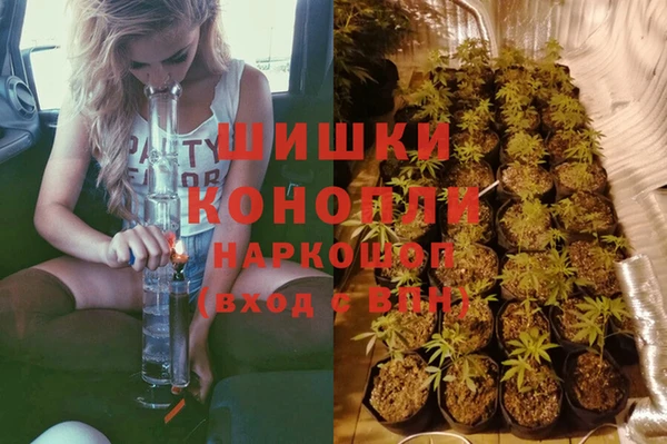 apvp Арсеньев